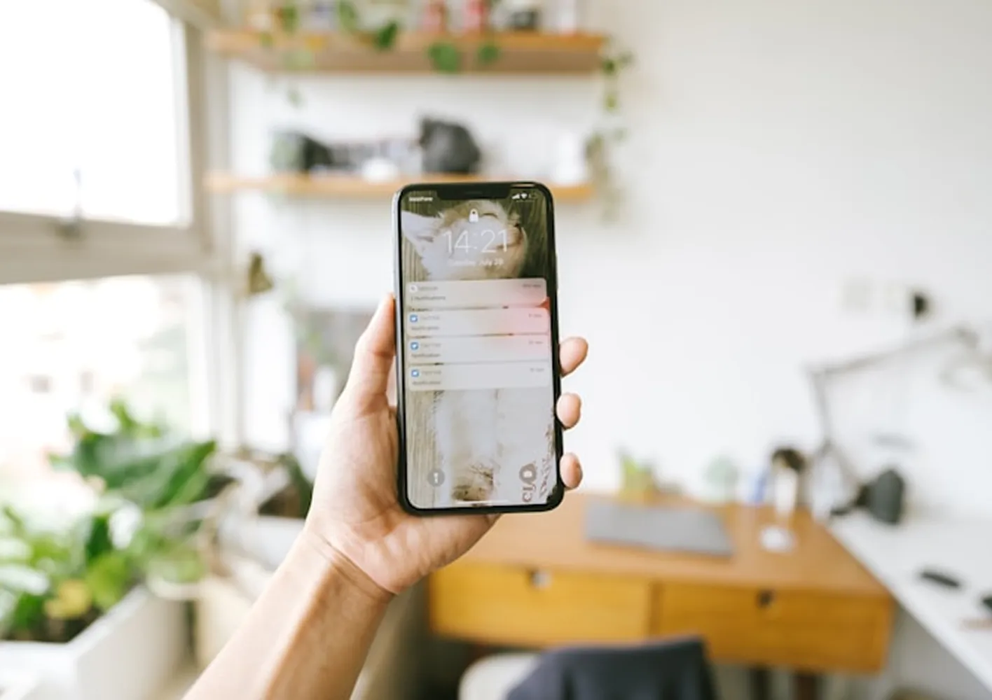 Social Media Marketing (SMM)